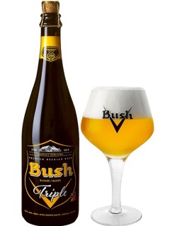 belgisches Bier Bush Blonde Triple in der 0,75 l Bierflasche mit vollem Bierglas